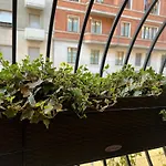 Mercadante Suite Central City